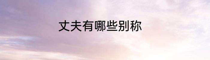 丈夫有哪些别称