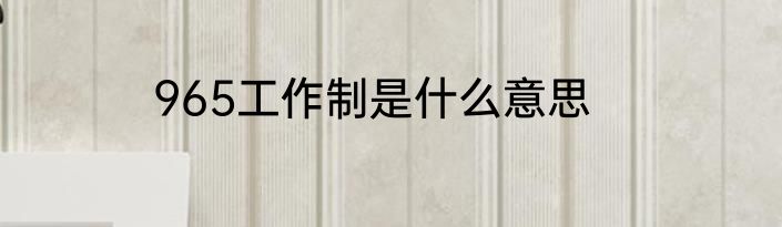 965工作制是什么意思