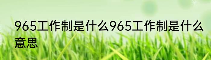 965工作制是什么965工作制是什么意思