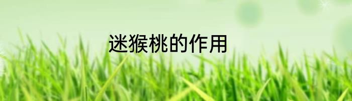 迷猴桃的作用