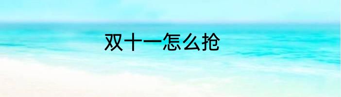 双十一怎么抢