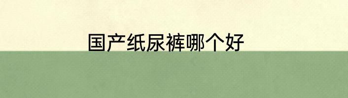 国产纸尿裤哪个好