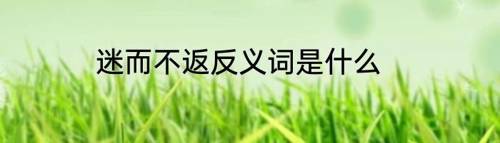 迷而不返反义词是什么