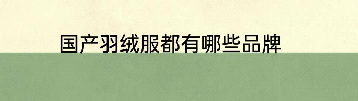 国产羽绒服都有哪些品牌
