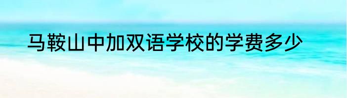 马鞍山中加双语学校的学费多少