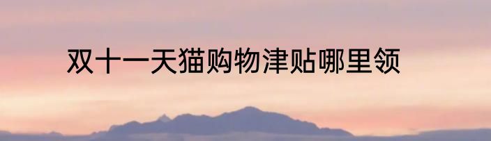 双十一天猫购物津贴哪里领