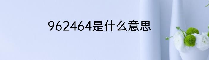 962464是什么意思