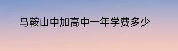 马鞍山中加高中一年学费多少