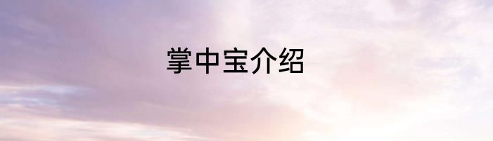 掌中宝介绍