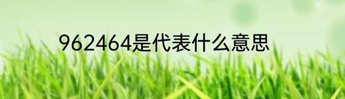 962464是代表什么意思