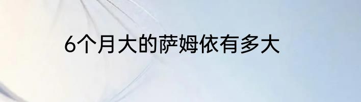 梦见和前任复合意味着什么