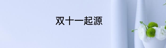 双十一起源
