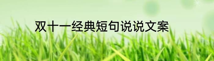 双十一经典短句说说文案