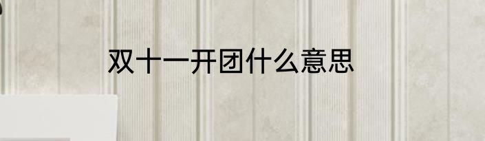 双十一开团什么意思