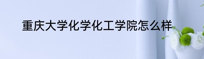 重庆大学化学化工学院怎么样
