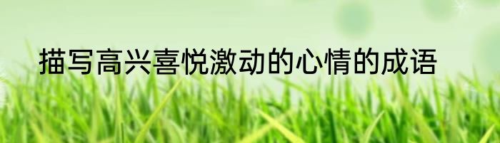 描写高兴喜悦激动的心情的成语