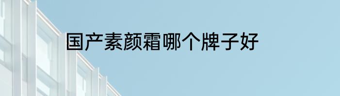 国产素颜霜哪个牌子好