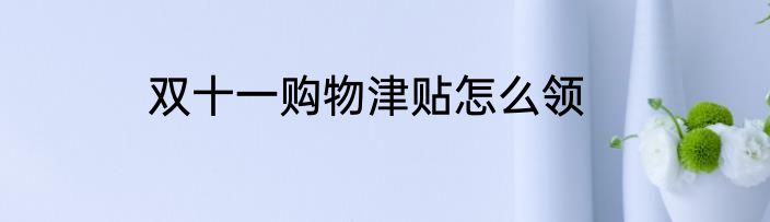 双十一购物津贴怎么领