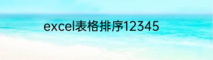 excel表格排序12345