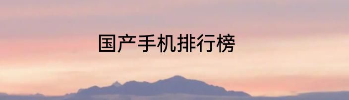 国产手机排行榜