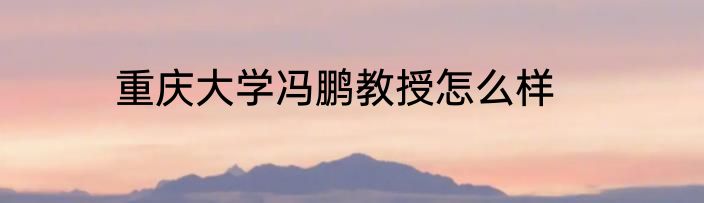 重庆大学冯鹏教授怎么样
