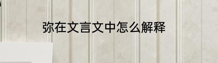 弥在文言文中怎么解释