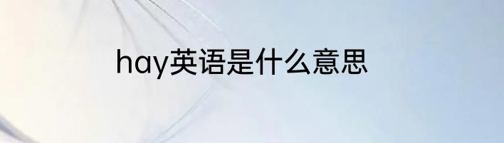 hay英语是什么意思