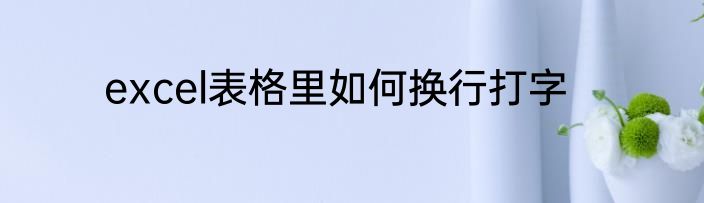 excel表格里如何换行打字