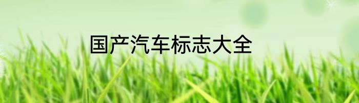 国产汽车标志大全