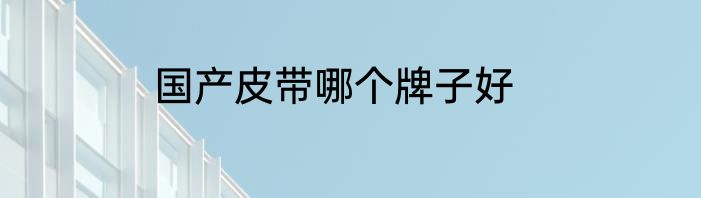 国产皮带哪个牌子好
