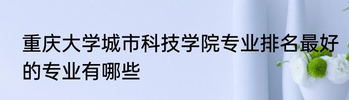重庆大学城市科技学院专业排名最好的专业有哪些