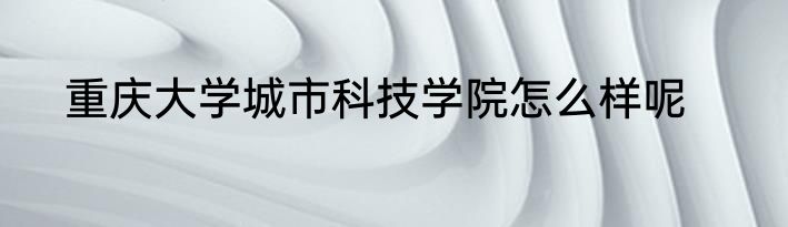 重庆大学城市科技学院怎么样呢