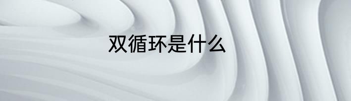 双循环是什么