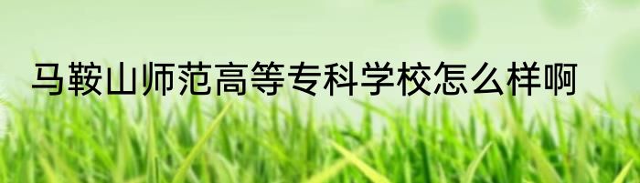 马鞍山师范高等专科学校怎么样啊