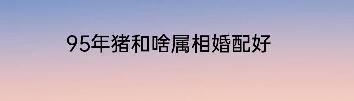 95年猪和啥属相婚配好