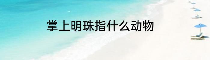掌上明珠指什么动物
