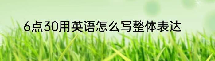 6点30用英语怎么写整体表达