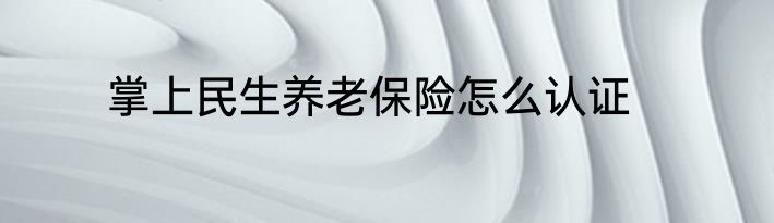 掌上民生养老保险怎么认证