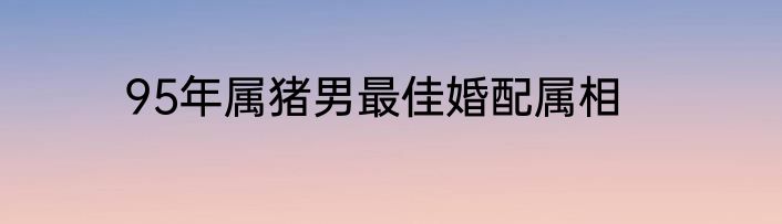 95年属猪男最佳婚配属相
