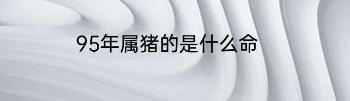 95年属猪的是什么命