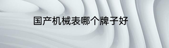 国产机械表哪个牌子好
