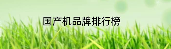 国产机品牌排行榜