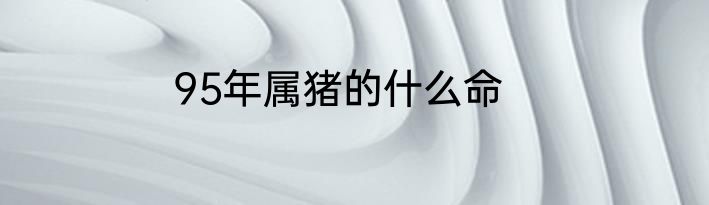 95年属猪的什么命
