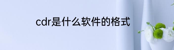 cdr是什么软件的格式