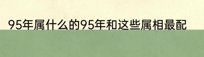 95年属什么的95年和这些属相最配