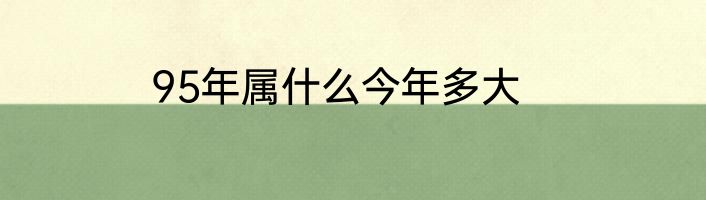 95年属什么今年多大