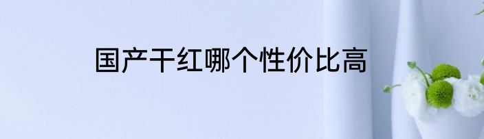 国产干红哪个性价比高