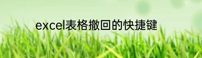 excel表格撤回的快捷键