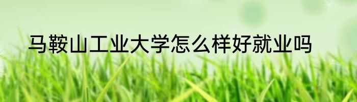 马鞍山工业大学怎么样好就业吗