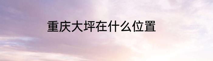 重庆大坪在什么位置